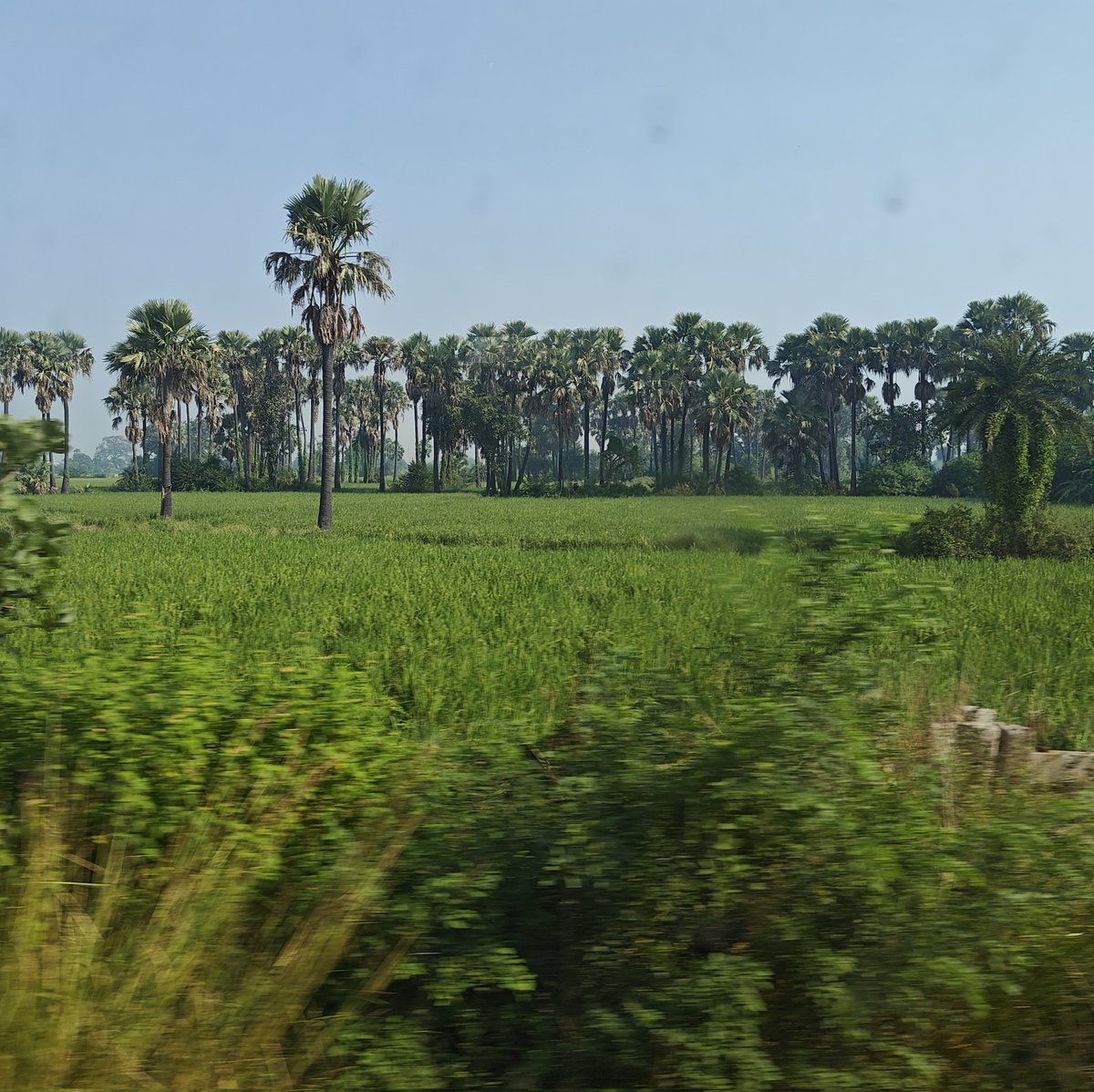 rajitsingh's tweet image. Visuals from a train, somewhere in Uttar Pradesh.
Kuchh toh baat hai iss desh me.