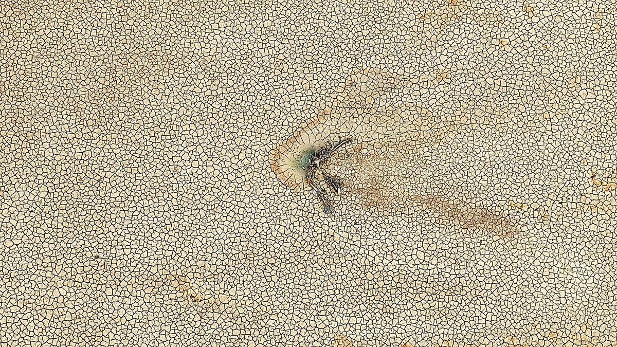 Bursa Gölbaşı Göleti, tamamen kurudu.