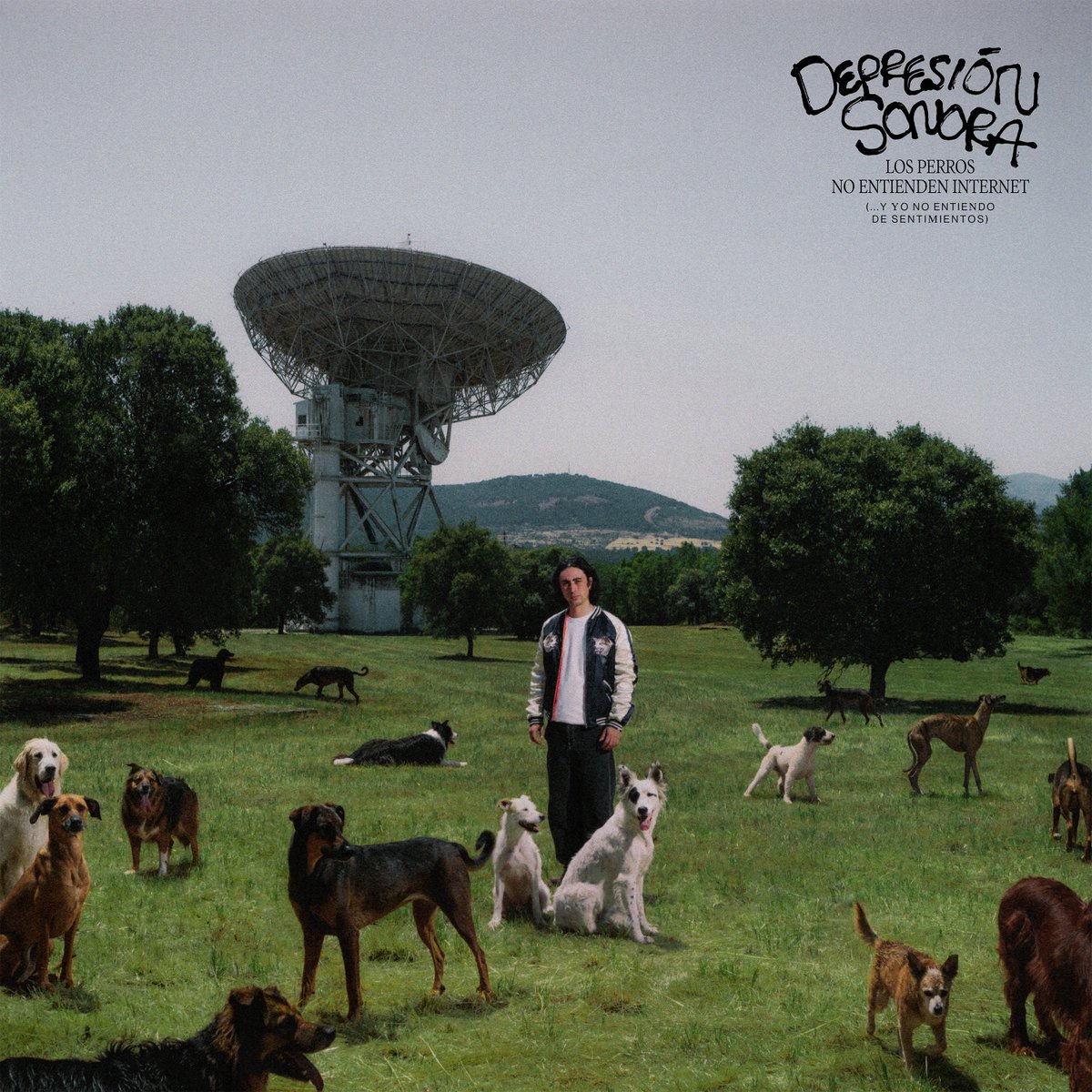 24 de octubre mi segundo álbum 💿🖤

Los Perros no Entienden Internet (...Y Yo no Entiendo de Sentimientos)