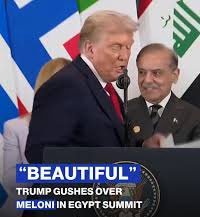 मैं सोच रहा था कि पाकिस्तान के PM शहबाज़ शरीफ को ₹230 हर महीने रेंट पर अपनी तारीफ़ करने के लिए रख लूँ 😐

#Egypt