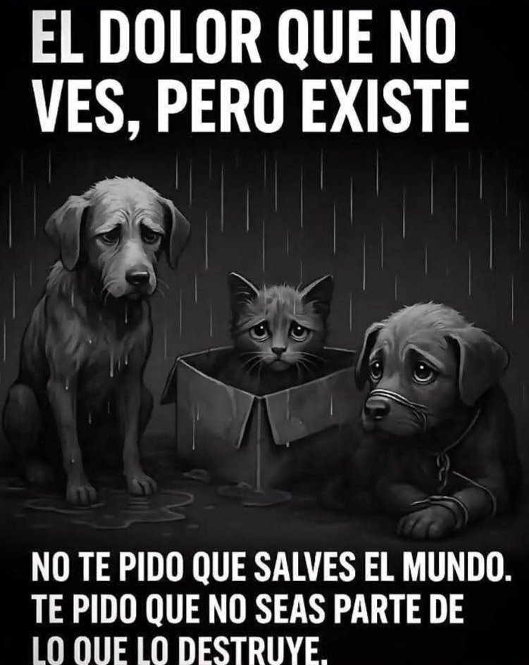 Triste verdad