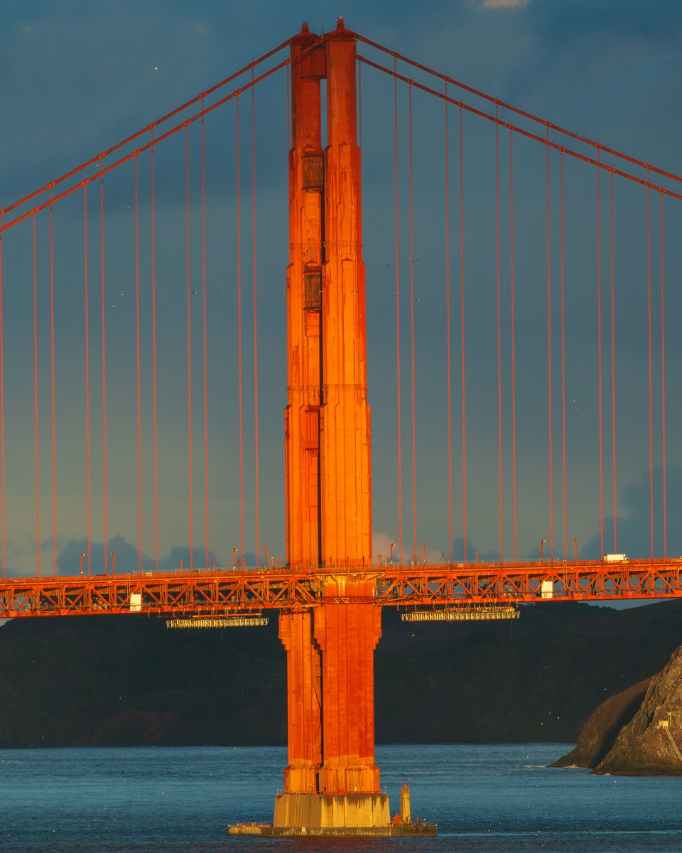 Cool lighting on the south tower of the Golden Gate Bridge this morning. Can you spot the pelicans flying past the tower?