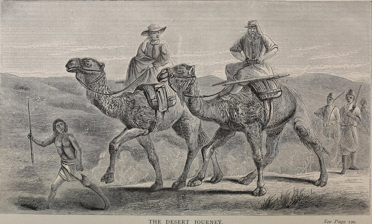 LibyanStudies's tweet image. 📢We are excited to announce our first joint lecture with the Egypt Exploration Society @TheEES 

“Women Explorers in North Africa.”

📆 Tuesday 4 Nov at 1pm (UK time) 

BILNAS archivist Anne Marie Williamson combines Andrew Goudie’s research on the subject with her own findings.