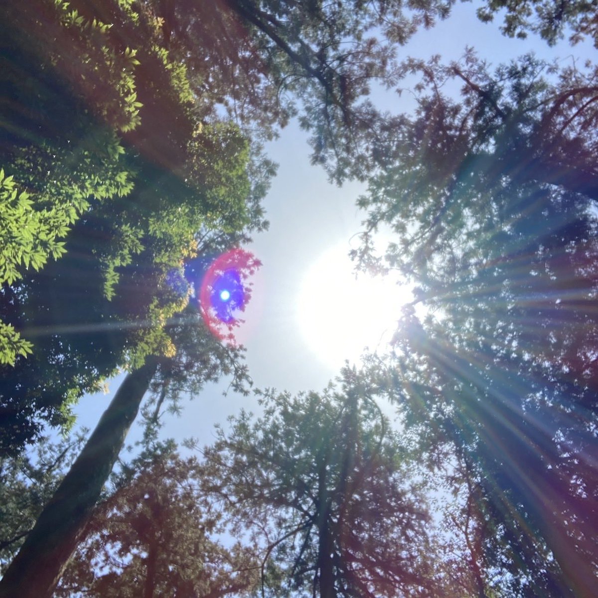 0120Maya's tweet photo. お仕事転職して前向きになってます¨̮
少しずつ環境変わって見える景色が変わりはじめた🫶自力で一歩出る勇気が♡
たくさん降る雨は心地よぃ、おやすみぃ https://t.co/nZPg7g122h