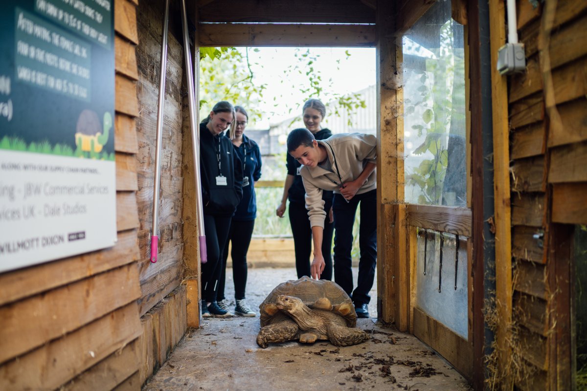 oaklandscollege's tweet photo. It’s #TLevelWeek, so we’d like to shine a spotlight on our specialist T Level pathway in Animal Management 🐾 Perfect for those passionate about animal care, the course blends classroom learning with real industry experience✅

Check out some of what the students get up to here👇 https://t.co/Q2EuwbYXUD