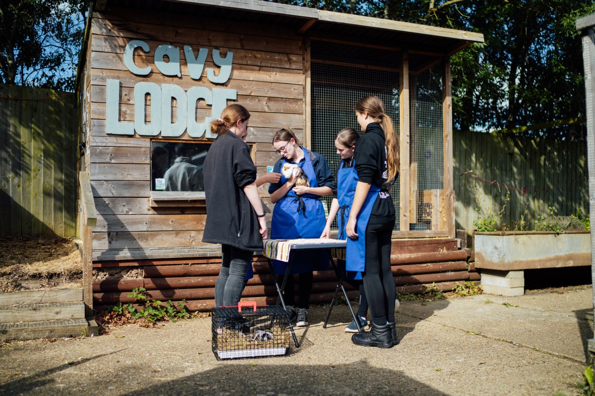 oaklandscollege's tweet photo. It’s #TLevelWeek, so we’d like to shine a spotlight on our specialist T Level pathway in Animal Management 🐾 Perfect for those passionate about animal care, the course blends classroom learning with real industry experience✅

Check out some of what the students get up to here👇 https://t.co/Q2EuwbYXUD