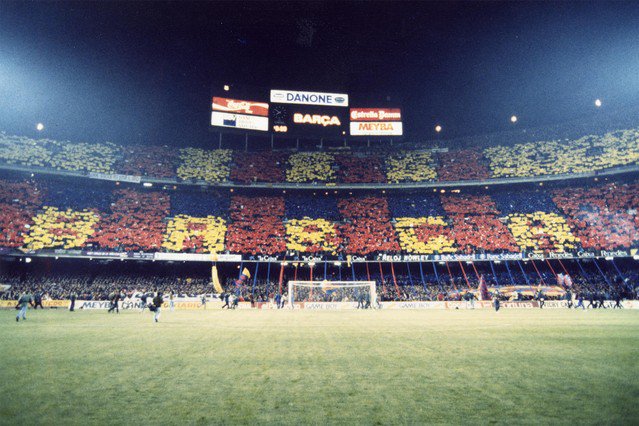 Tifoso és una paraula italiana que vol dir seguidor, fanàtic d'un club o qui anima. 
El tifoso fa el tifo, és a dir, dóna suport al seu equip amb una coreografia organitzada, ja sigui amb un mosaic, banderes, banderons, bengales, pots de fum, pancartes, estesa de bufandes.