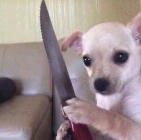 when anyone called me late night he was screwin around with my mind askin what are you wearin…….. too high!!!!!! to remember in the morning………………..