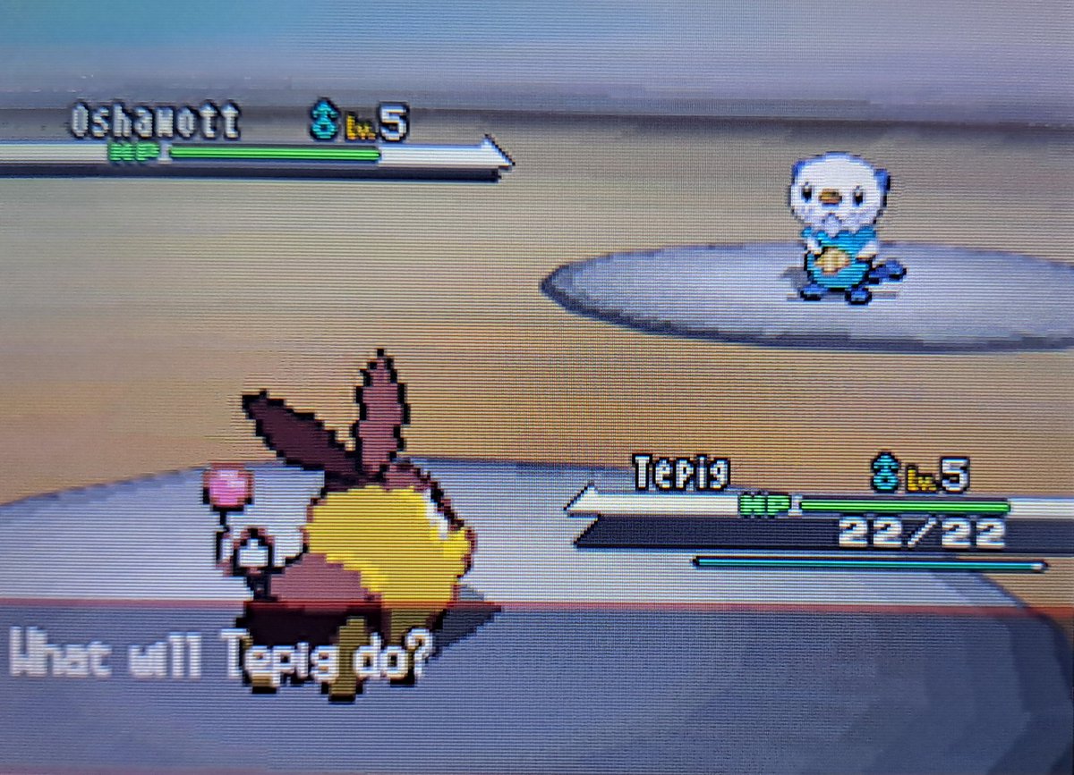 j3tlite_streams's tweet photo. SHINY TEPIG IN JUST 5 RESETS WHATTTTT ✨️

I decided to start up a new Pokémon Black save file to hunt some static encounters. This one legitimately took 10 minutes. 

I will never get a shiny faster than this, I'm so happy 🥳 https://t.co/mWVBRgBkCl