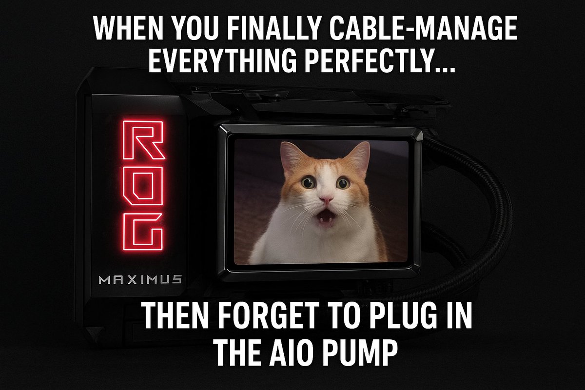 nftnav's tweet photo. HAHAHAHA! LFG! @ASUS_ROG  @1ogic_xyz @12RoAUiL2C06X  #ASUS #X870 #Z890 #B860 #B850 https://t.co/J5PwYg4Uop