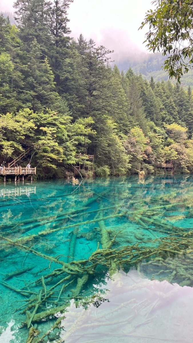 pliknoob's tweet image. This natural weather fascinates me. I love natural weather.