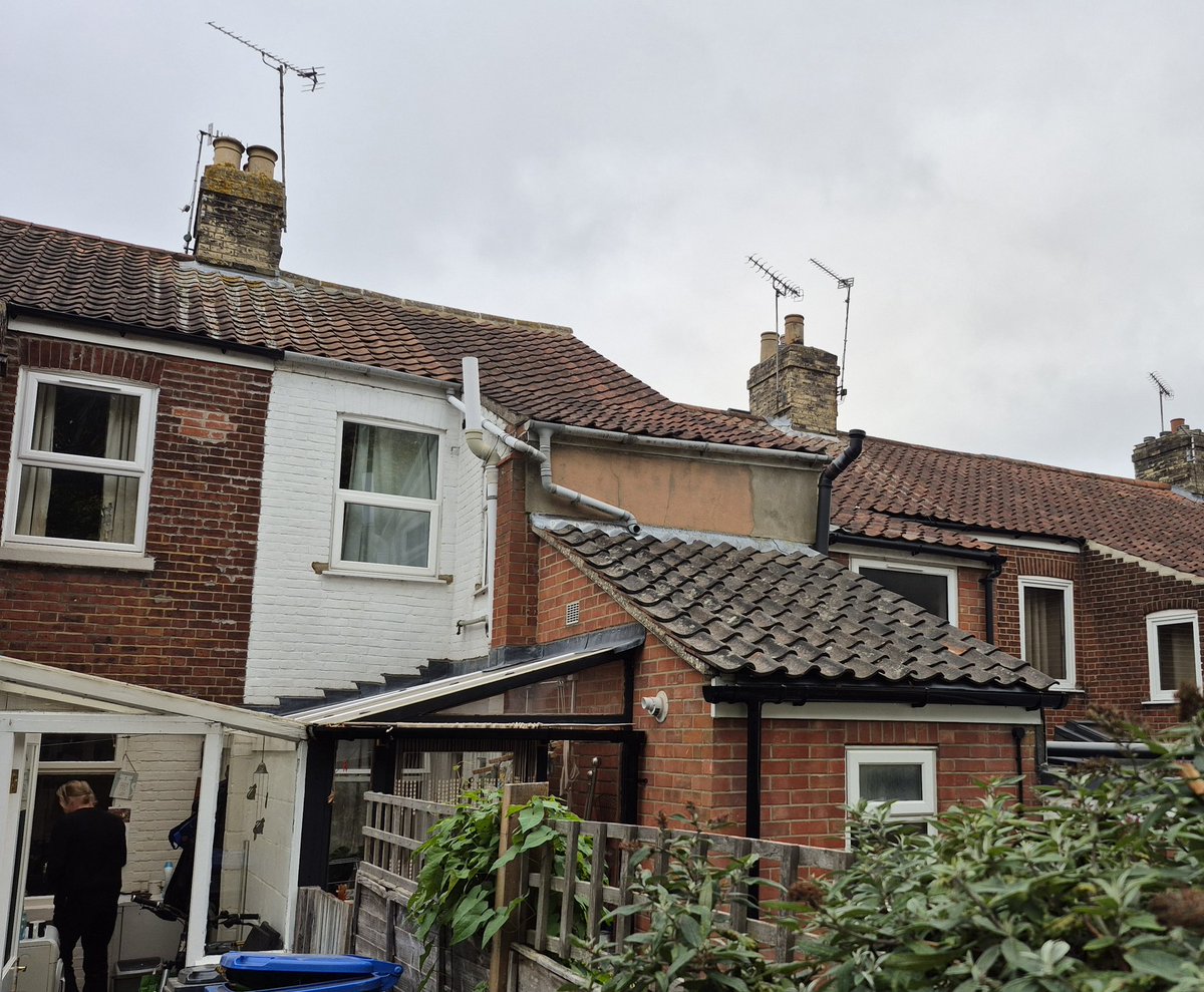 Thruxton's hungry after his adventure which nearly became a misadventure! He climbed up onto our lean-to &amp; somehow got up onto the roof on the far right of the picture &amp; when he turned round slipped down to the gutter before scrambling back up. Silly boy! Oulton 🙀