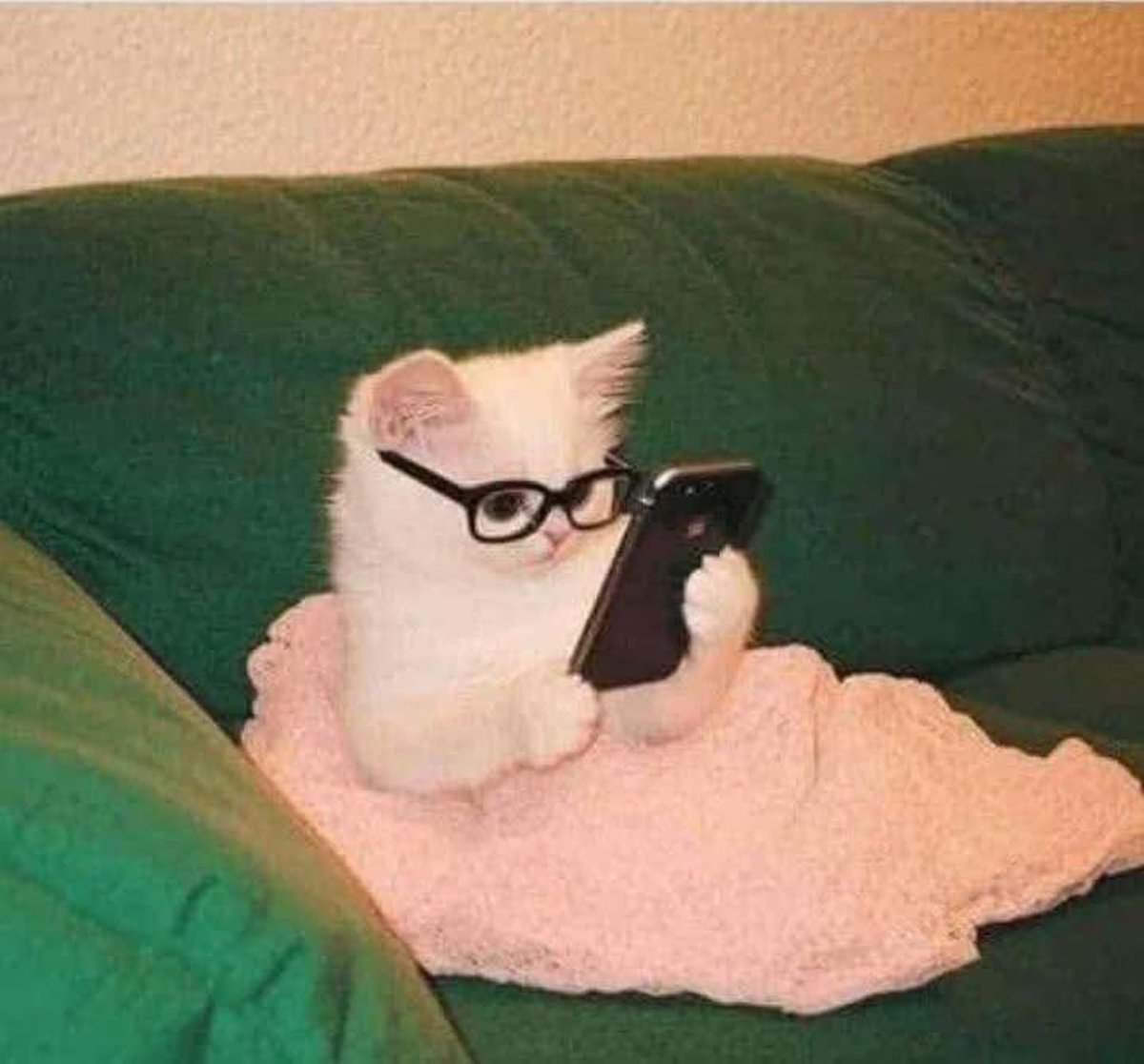 memesdavidaofc's tweet photo. "Por favor responda esse e-mail até dia 7" 

Eu vendo o e-mail depois do dia 10: https://t.co/mMTSnb9rUw