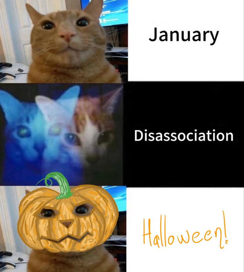 literallymecats's tweet photo. https://t.co/DVo5RXZyIm