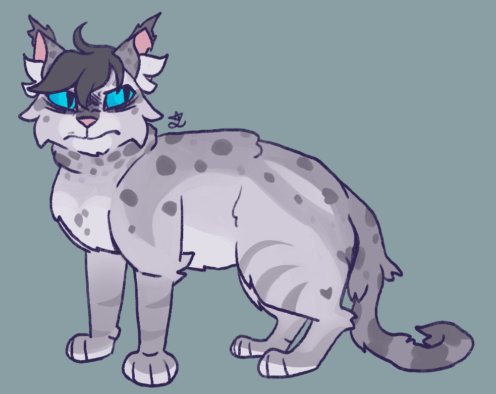 C4Tstate's tweet photo. ashfur of thunderclan 
[ #warriors #wishyart ] https://t.co/LM4Neke2Ba