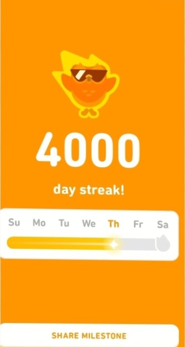 superbearadvuen's tweet photo. @duolingo Can we be Friends? https://t.co/nWi0XlPgmO