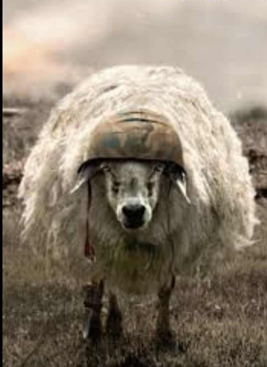 $sheep army