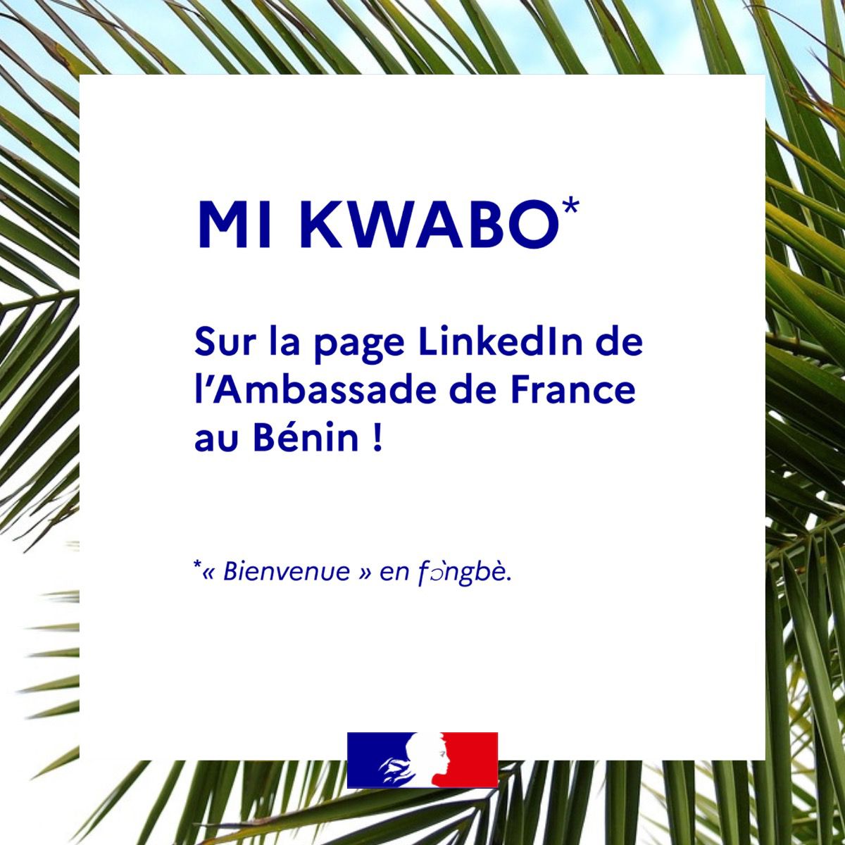 👋 L’Ambassade de France au Bénin arrive sur #LinkedIn !

📣 Rejoignez-nous pour suivre toute l’actualité du partenariat entre la France et le Bénin 🇫🇷 🇧🇯

⤵️ ⤵️ ⤵️
linkedin.com/company/france…