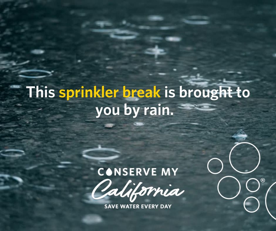 There's been a lot of rain in #California, so do a happy dance and give your sprinklers a break during and for at least 48 hours after the #rain to conserve water and prevent overwatering. Stay safe and dry out there!
