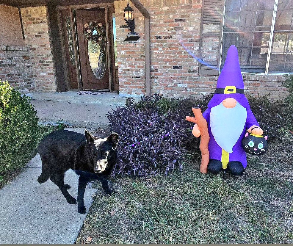 web3elizab_eth's tweet image. Gnomeware update complete. 💻🎃Threat detection powered by Hera.