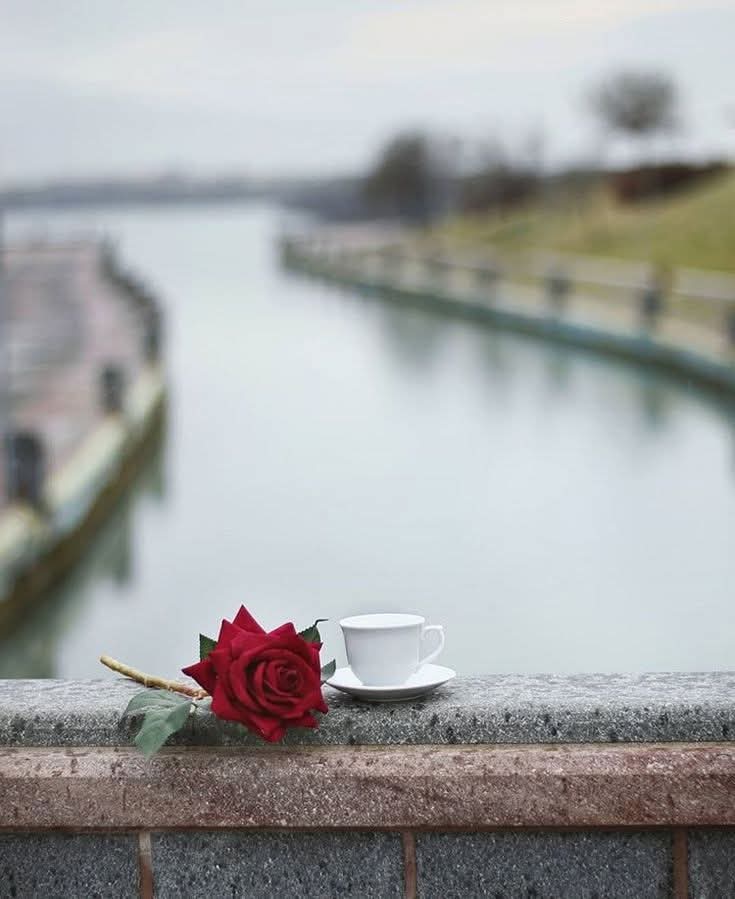 Raima__nor's tweet image. কি দরকার ‘অপেক্ষার’?
কারণ ‘অপেক্ষা' সুন্দর!
___________ অপেক্ষার অবসান হোক 💝🌼🌸