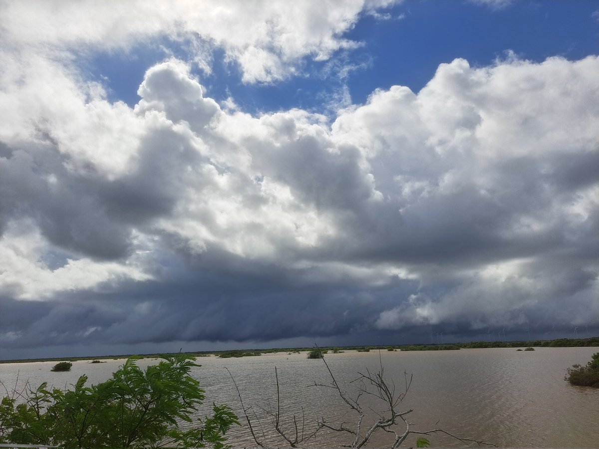 JPSG_183's tweet photo. Lluvia matutina en Merida desde Chicxulub @ClimaYucatan https://t.co/7ydC8XzmEl
