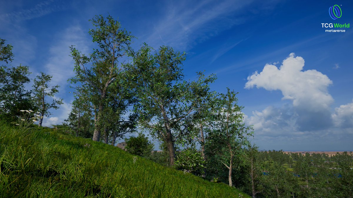 JonDixonTCG tweet media