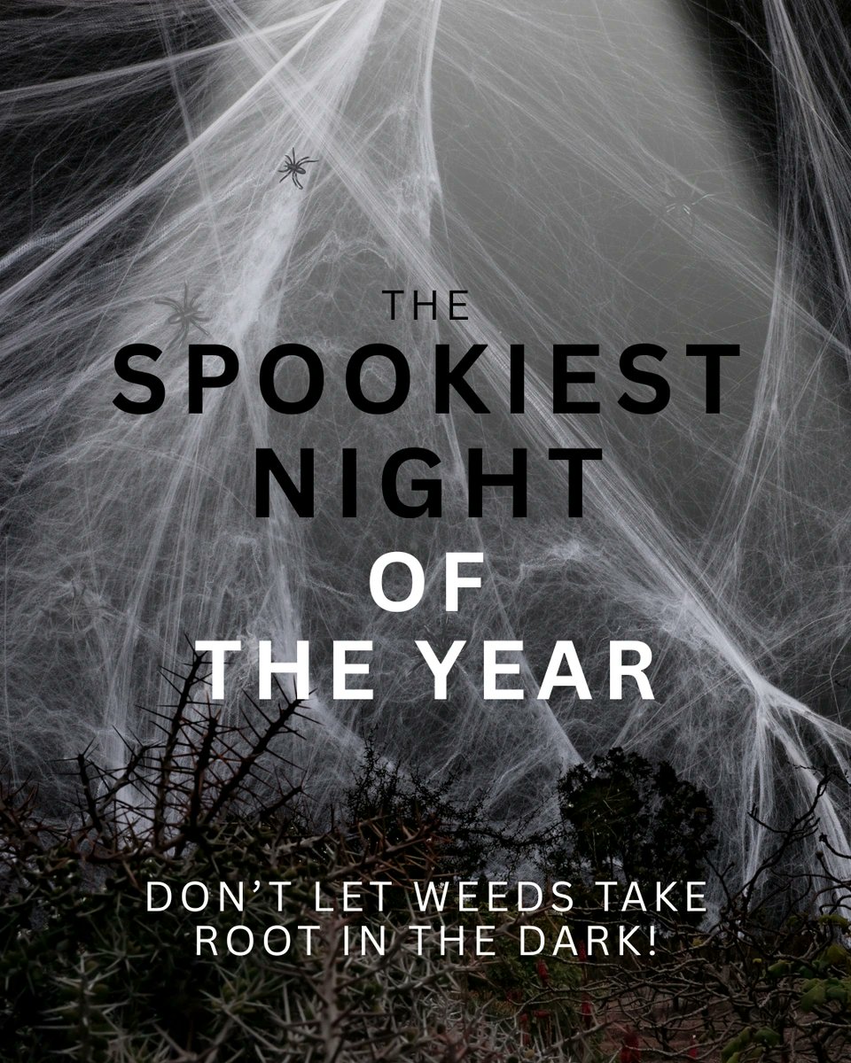 CB_Amenity_UK's tweet photo. As the nights draw in and shadows creep across your grounds... weeds are lurking, ready to strike when no one’s watching! 🧟‍♂️⁠
⁠
But fear not - with Certis Belchim's trusted amenity solutions, you can stop those unwanted invaders before they take hold.⁠
⁠
Because even in the dark… we’ve got your turf covered. 🌘💪⁠
#DontLetWeedsTakeRoot #CertisBelchimUK #Halloween2025
