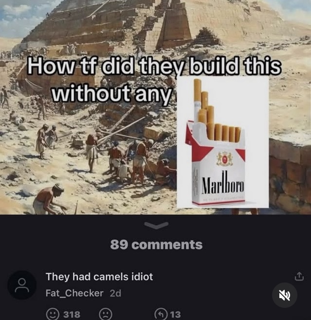 Cigarette Dystopia (@cigsmake) on Twitter photo 