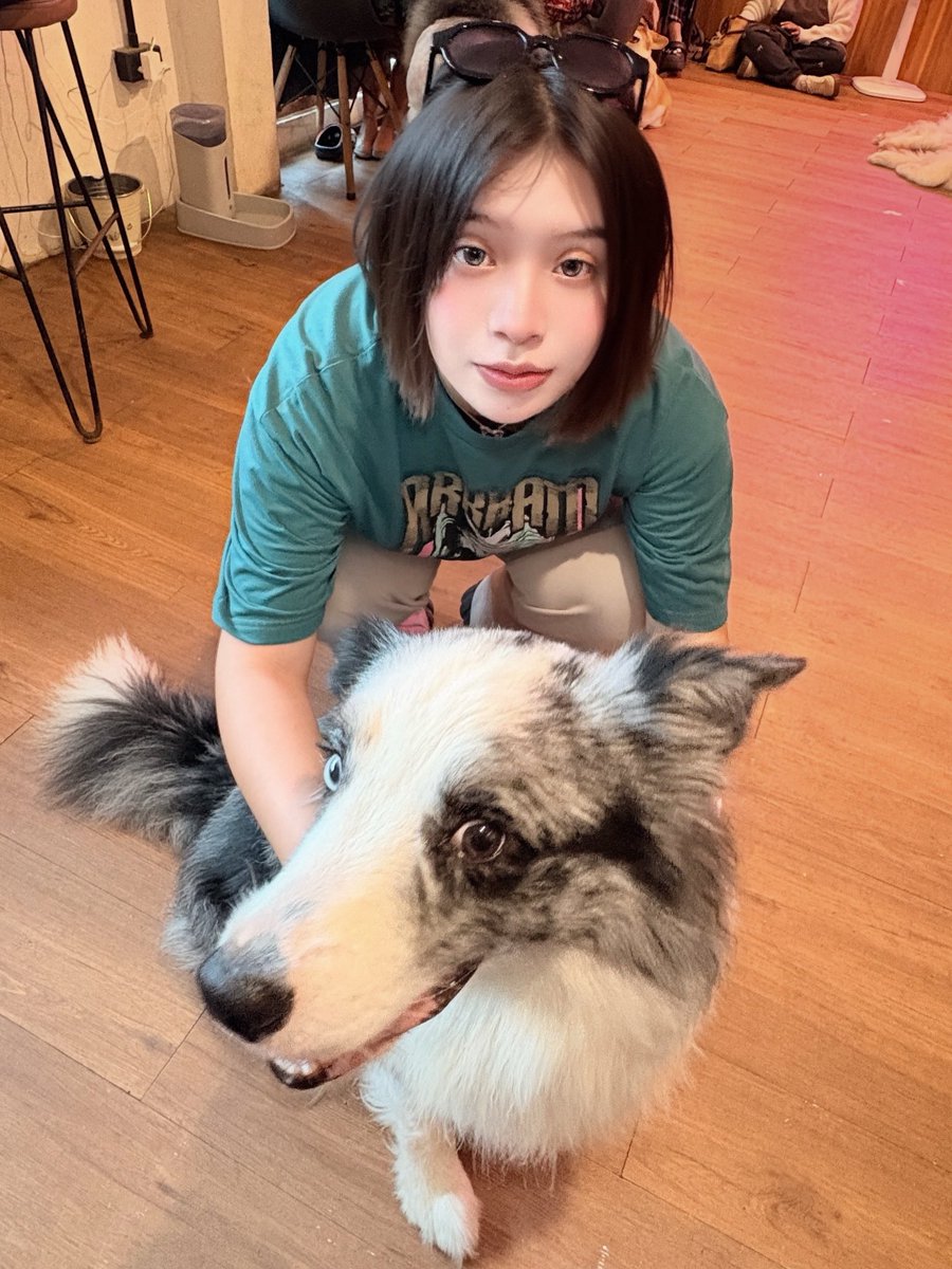 มึงเหนมั้ยกูก้ไม่ได้แดกหมา