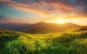 hailonggg_202's tweet image. Who are your favorite builders in tech?
 #dragontools #motivation