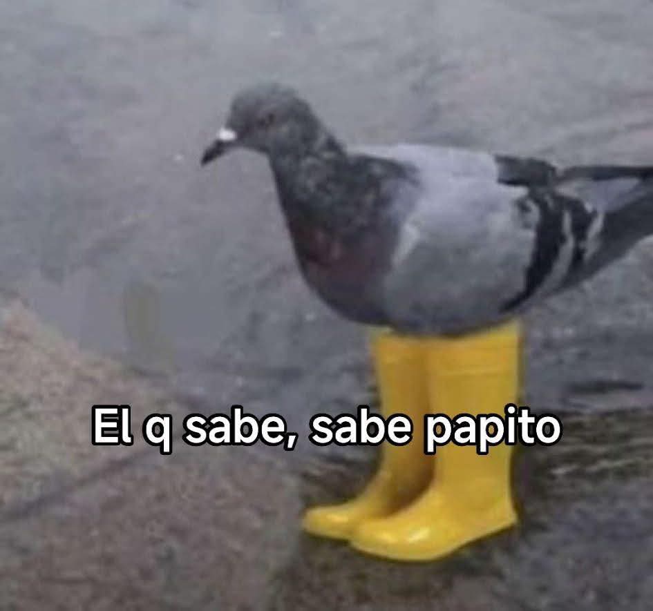 M O T I V A N D O T E (@m0tivand0te) on Twitter photo 