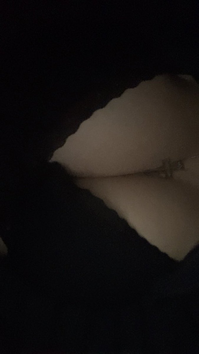 vmpylu's tweet photo. haiii :3 https://t.co/o5njpNntfw