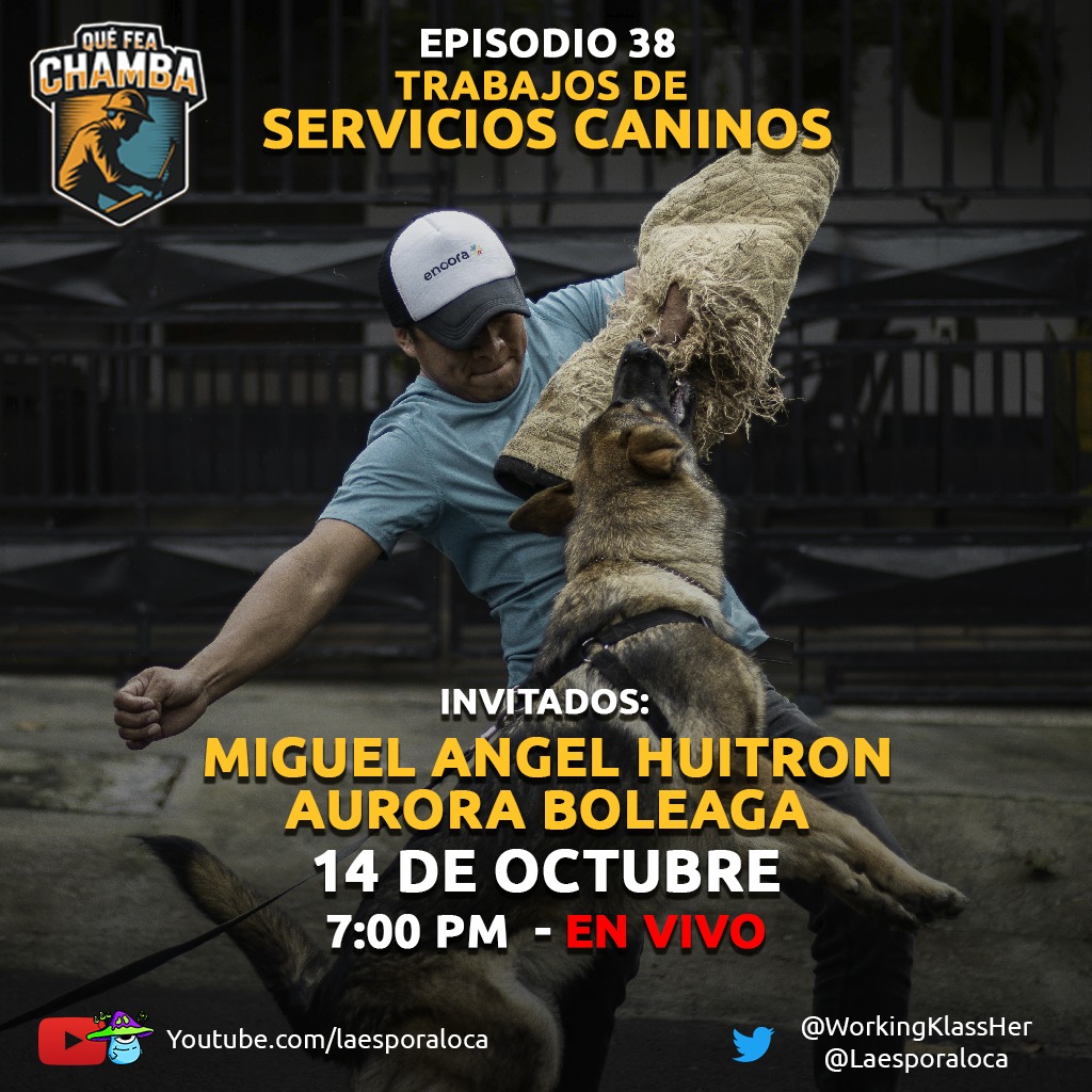 📣Trabajos de servicios caninos📣

No te pierdas nuestro episodio de #QuéFeaChamba, en donde platicaremos con trabajadores que prestan servicio para los perritos.

En ese negocio ascendente, ¿serán justas las condiciones de trabajo?