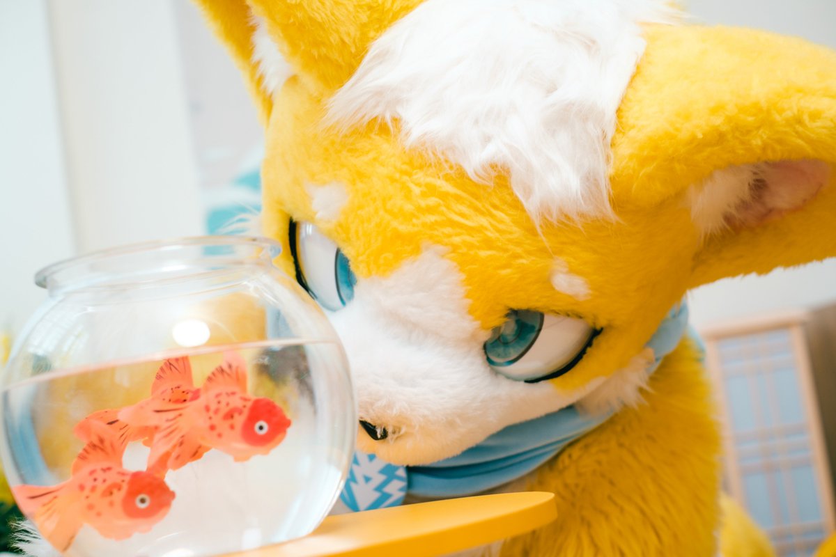 ⚡頹廢小雷⚡RAI ライ😸 tweet media