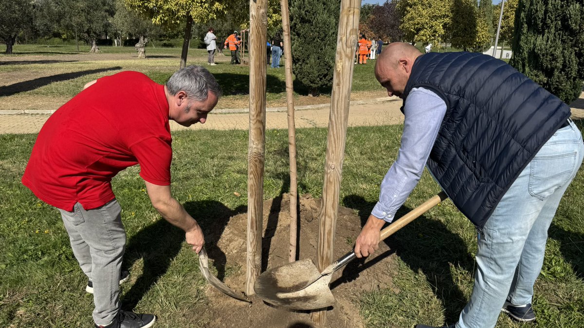 <a href="/ppalcorcon/">PP Alcorcón</a> <a href="/Aparkam/">Asociación Párkinson Aparkam</a> <a href="/IesCastillos/">IES LOS CASTILLOS</a> <a href="/rmarinvergara/">ℝ𝕠𝕓𝕖𝕣𝕥𝕠 𝕄𝕒𝕣í𝕟 𝕍𝕖𝕣𝕘𝕒𝕣𝕒</a> <a href="/ppmadrid/">PP Comunidad de Madrid</a> <a href="/IdiazAyuso/">Isabel Díaz Ayuso</a> <a href="/SerranoAlfonso/">Alfonso Serrano</a> <a href="/LSacedaG/">Luis S.G.</a> <a href="/nnggalcorcon/">NNGG Alcorcón 🇪🇸</a> <a href="/ParkinsonFEP/">Federación Española de Párkinson</a> <a href="/ParkinsonMadrid/">Asociación Parkinson Madrid</a> 🌳 Hoy la Asociación de Parkinson de Alcorcón, <a href="/Aparkam/">Asociación Párkinson Aparkam</a> , ha plantado vida en nuestra ciudad. 

🧠 El Parkinson no es solo temblor: también implica rigidez, lentitud, trastornos del sueño, depresión y dificultades cognitivas