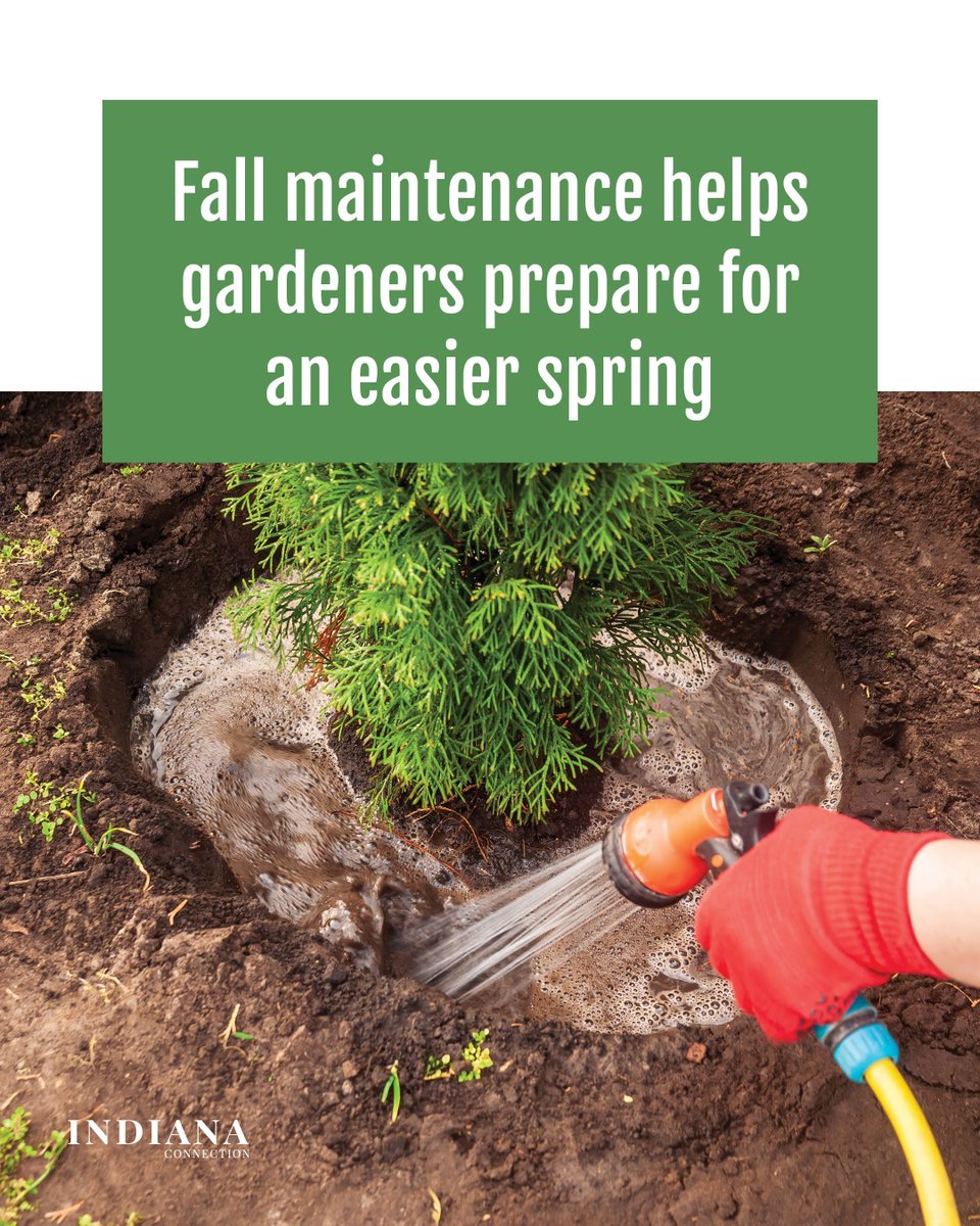 Fall is here, and that means it’s time to complete some garden maintenance for an easier spring. Find out more from a backyard expert in this month’s Indiana Connection. goiec.org/42d1jBI