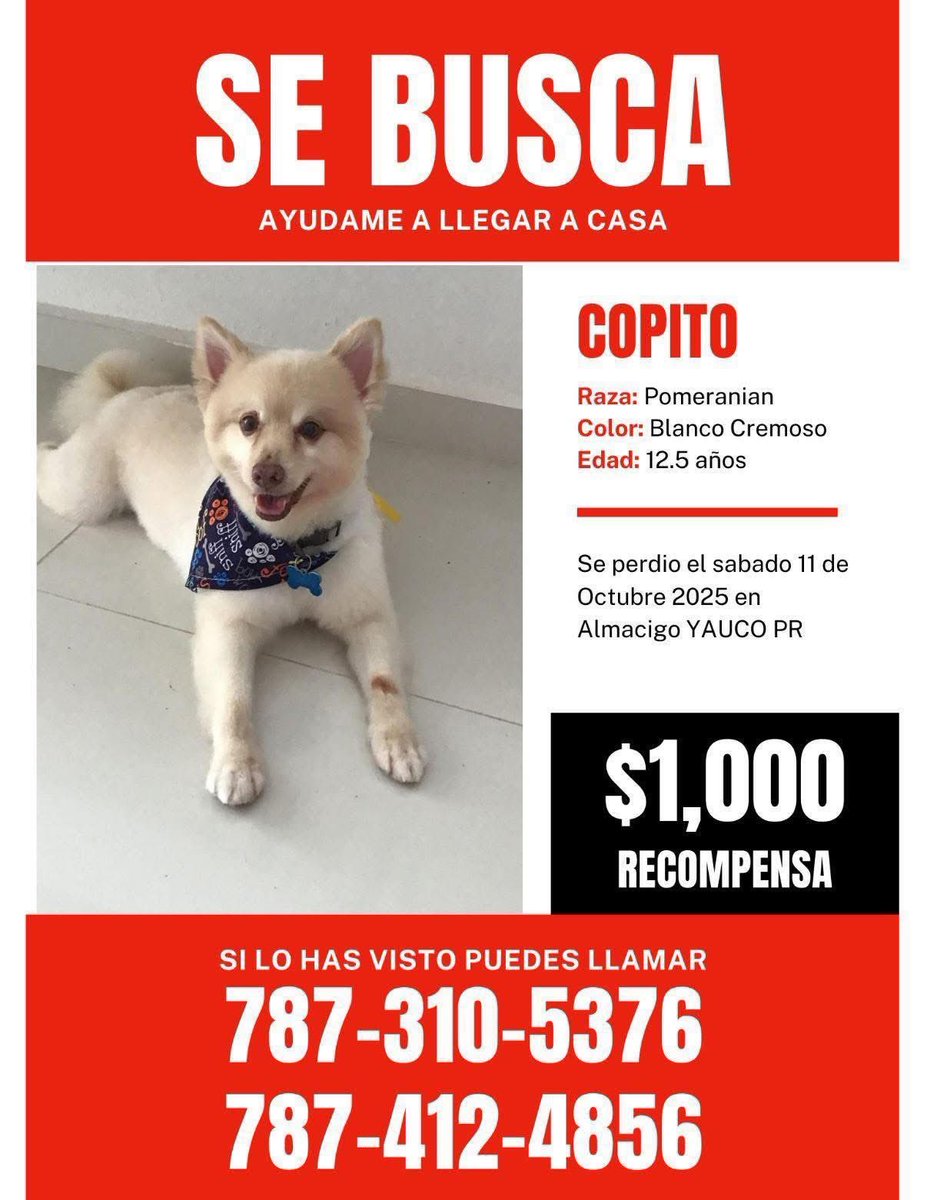 Remi Martin tweet media