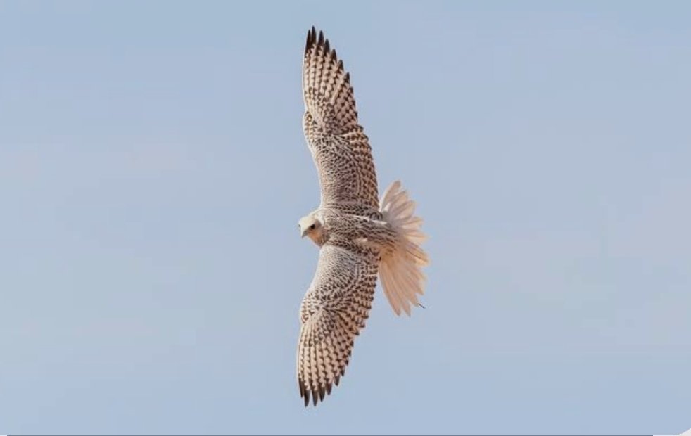 قيمتك الحقيقية.... في كرامتك وعزة نفسك !