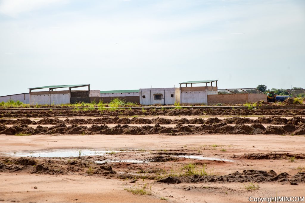 Ministère de l’Industrie et du Commerce du Sénégal tweet media