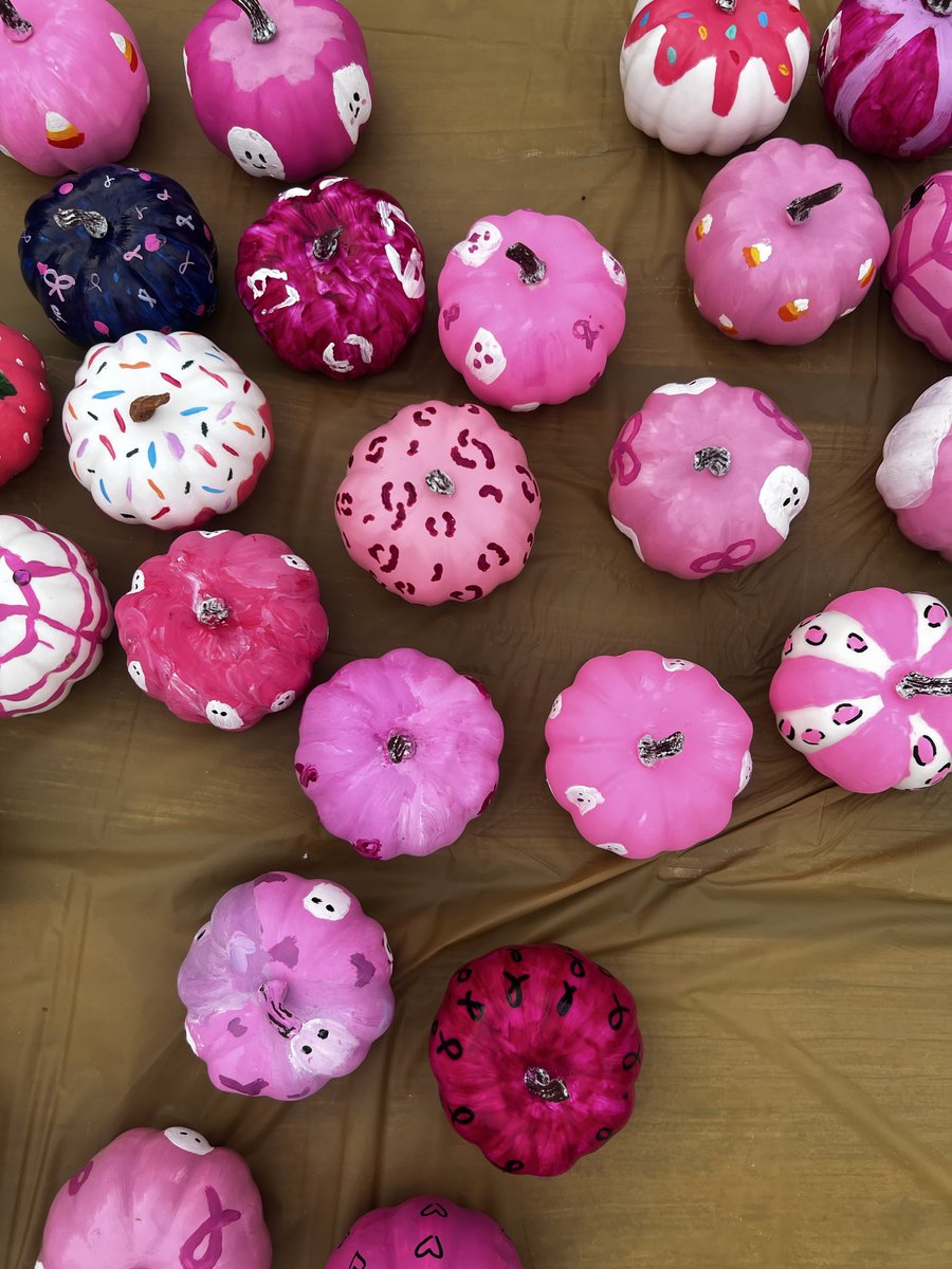 SAGESvb's tweet image. Game Day &amp;amp; Fundraiser 🩷

Come out and support our program tonight against Prairie Central! Friends and family will have the chance to vote for their favorite pumpkin, helping us raise money to Paint Piatt Pink! Can’t wait to see you there!