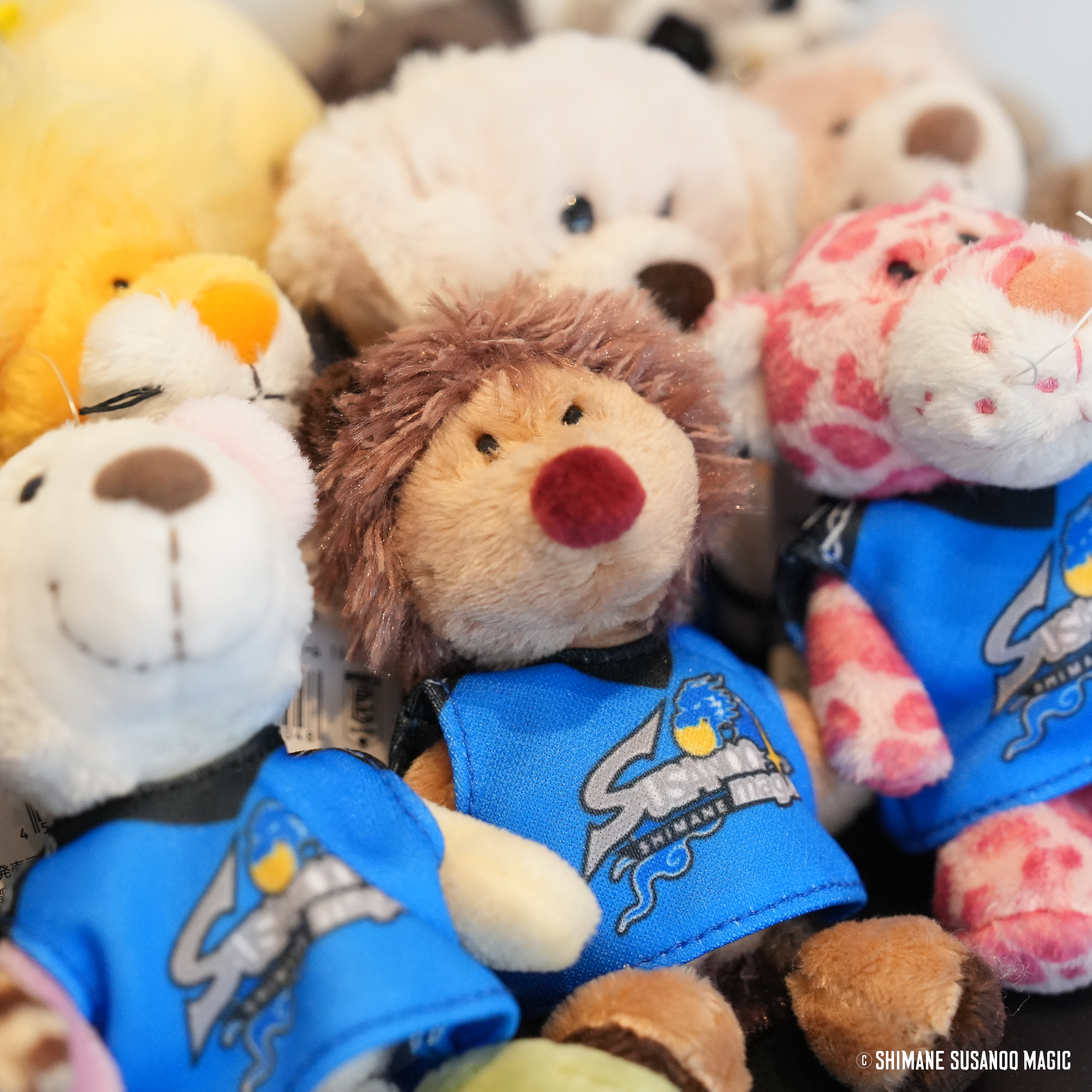 応援グッズ Pavin 980624134_1.jpg