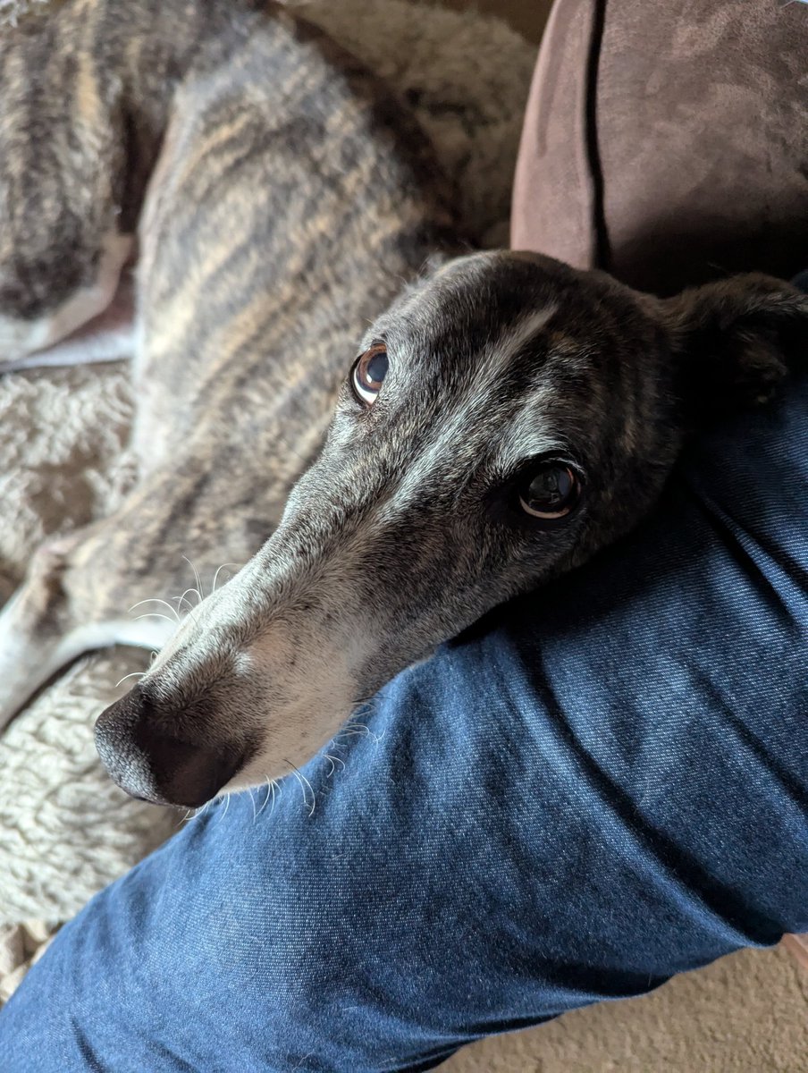 I think he knows I'm off racing!