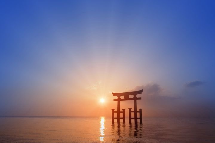 ythqw36575353's tweet photo. 湖畔の夕暮れ、光がまぶたに優しく落ちた。🌅
まるで、時間が私を許してくれたみたいだった。 https://t.co/Ygr36TDB08