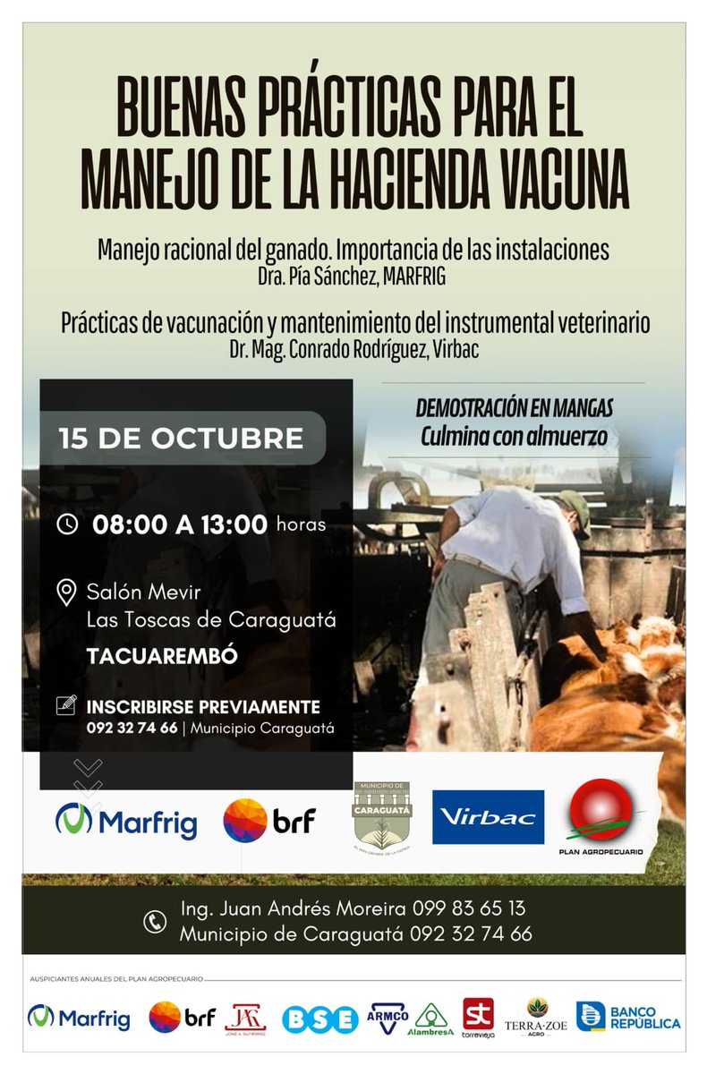 ¡Mañana #miércoles!
🗓️15/10⏰8 a 13hs📍Las Toscas de Caraguatá, Tacuarembó

Jornada
✔️Buenas prácticas para el manejo de la hacienda vacuna
Dres. P. Sánchez <a href="/marfrig/">marfrig</a>, C. Rodríguez <a href="/virbac/">Virbac</a>
✔️Demostración en mangas
📌Salón MEVIR

¡Te esperamos!
#MunicipioDeCaraguatá #PlanAgro