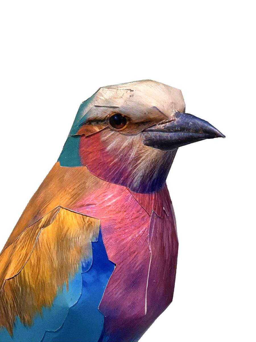 kamitoriya's tweet photo. The display stand for the Lilac-breasted Roller will be designed with a rhinoceros horn motif!

ライラックニシブッポウソウの飾り台は、サイの角をモチーフにする事にしました！

#papercraft 
#lilacbreastedroller 
#kamitoriya 
#ペーパークラフト 
#ライラックニシブッポウソウ 
#紙鳥屋 https://t.co/318Msdg6GH