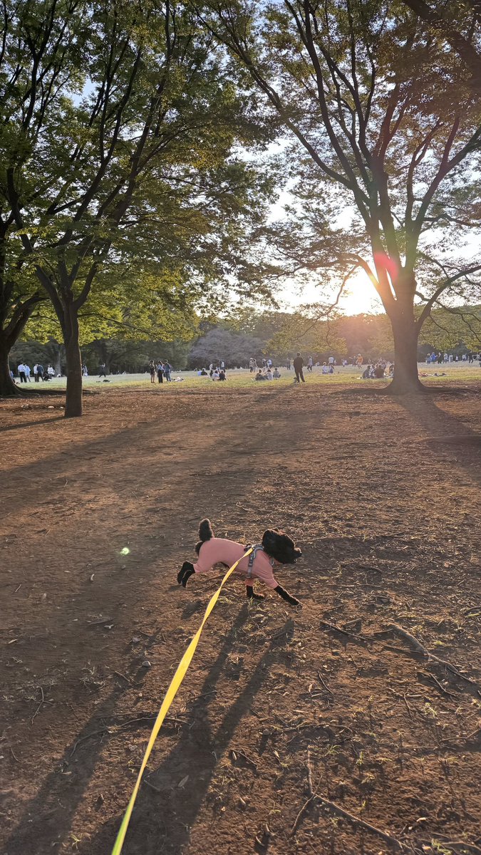 代々木公園たのしー