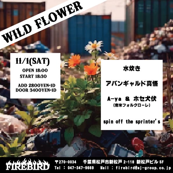 mizutakimusic's tweet image. 11/1(土) 水炊きライブ決定🍲熱い夜になりそう🔥FIREBIRD presents “WILD FLOWER”
18:30開演(開場18:00) 
前売¥2,800+1d 
当日¥3,400+1d 
出演：spin off the sprinter&apos;s、A-ya&amp;amp;ホセ犬伏、アバンギャルド真悟