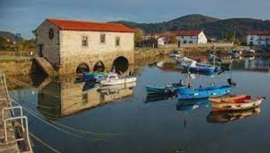 LeonCantabria's tweet photo. Feliz día, amigos!!! 😍🐦🌦️🎒🍁🍃🦆🦀🦢🦞🦤🦐🐠🐟

Con aves, mar, molinos y Argoños
 
toda la mañana hoy en la radio @SER_Cantabria 
#Molinos #Aves #Cantabria #Santander #Santoña #Noja #Argoños https://t.co/ONSWbbm0aq