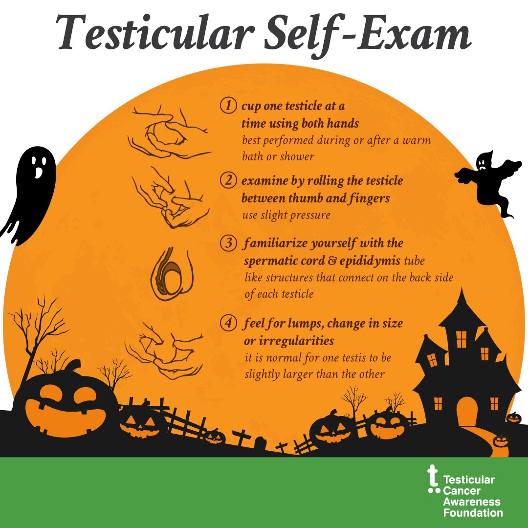 Testicular Cancer (@testescancer) on Twitter photo 🎃👻 ‘Tis the spooky season… but your health doesn’t have to be scary.
👋 Monthly reminder: Do a testicular self-exam.
🧐 Feel a lump? Don’t wait, see your doctor.
💡 Testicular cancer is 95% curable when caught early.
Take 60 seconds. It could save your life. 🎃👻 ‘Tis the spooky season… but your health doesn’t have to be scary.
👋 Monthly reminder: Do a testicular self-exam.
🧐 Feel a lump? Don’t wait, see your doctor.
💡 Testicular cancer is 95% curable when caught early.
Take 60 seconds. It could save your life.